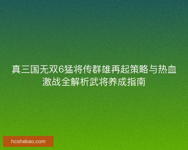 真三国无双6猛将传群雄再起策略与热血激战全解析武将养成指南